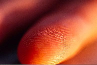 《恐龙小当家》推出官方攻略：迪诺百解！